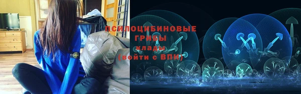 кокс Алзамай