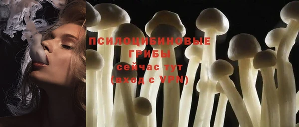 амф Алексин