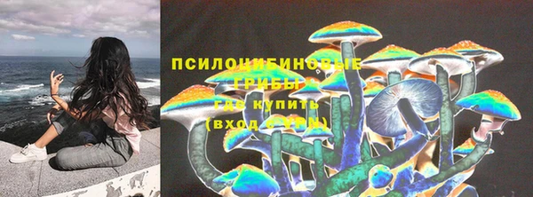 кокс Алзамай