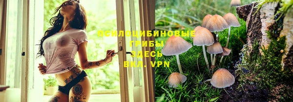 бутират Алексеевка