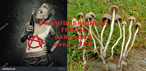 кокс Алзамай